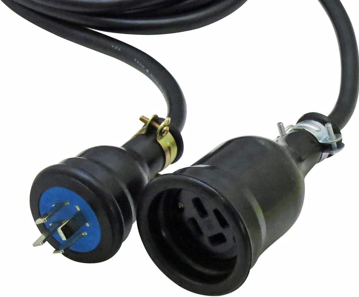 パスタ鉢 輪島塗り 蒔絵 260x160x55mm 椿蒔絵 輪島塗月の皿椿 (椿蒔絵